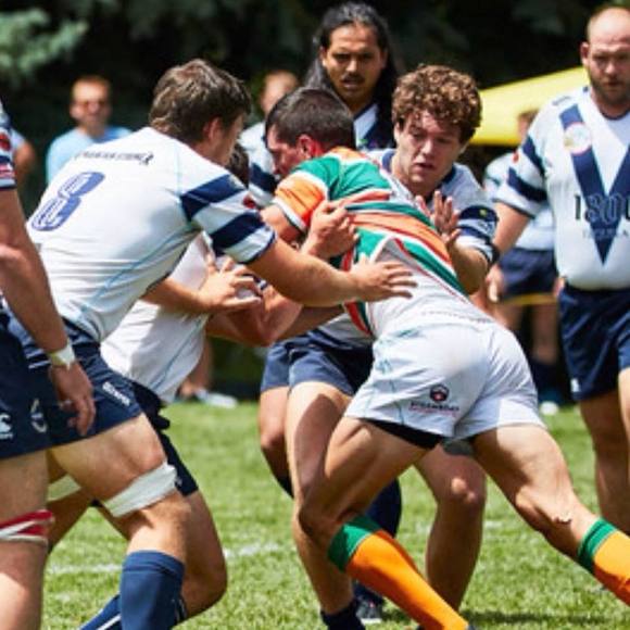 mstewbears17